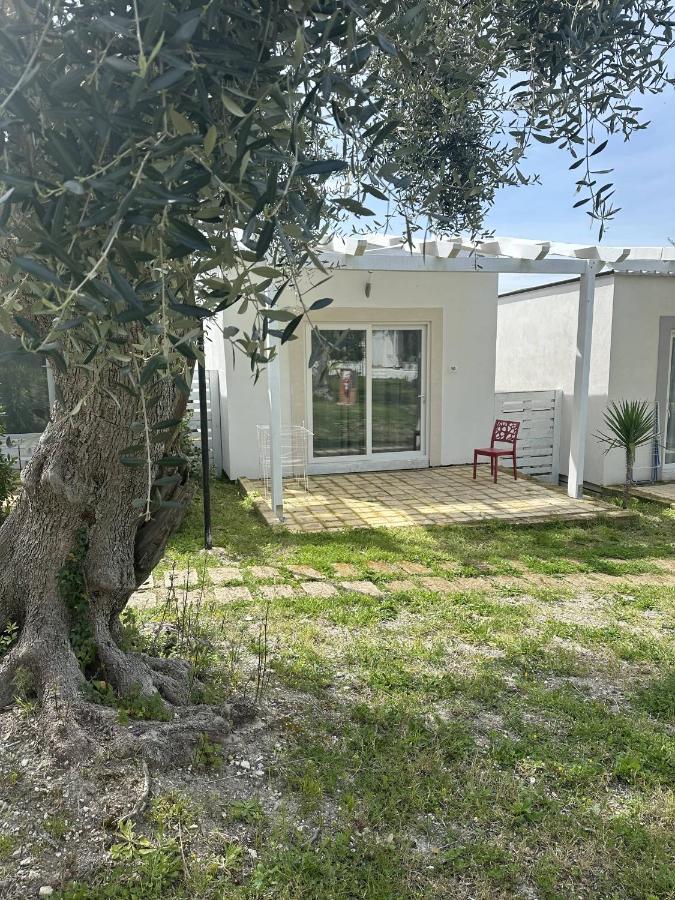 Family Room with Garden View,1377162575:JPEG